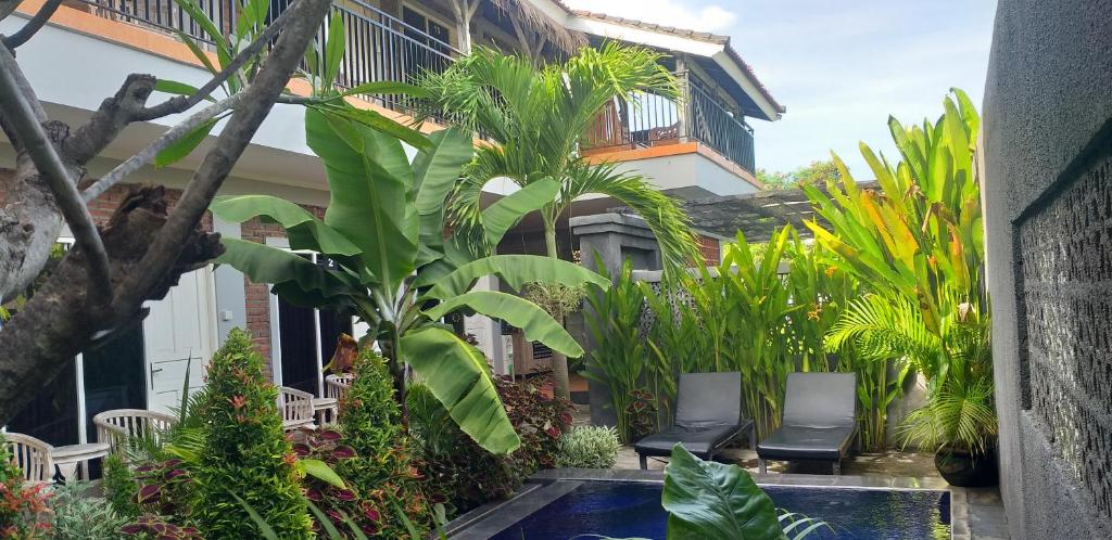 PD Bali Guesthouse PD Bali Guesthouse