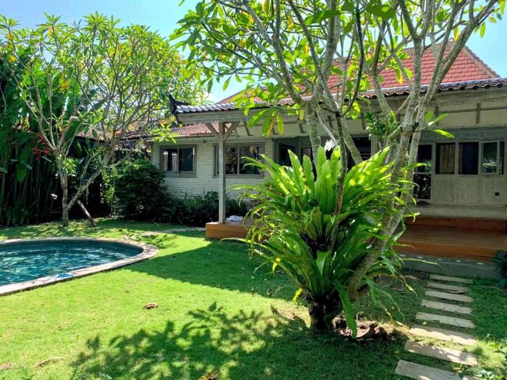 Quiet 3 BR-3 bathroom villa in heart of Canggu Quiet 3 BR-3 bathroom villa in heart of Canggu