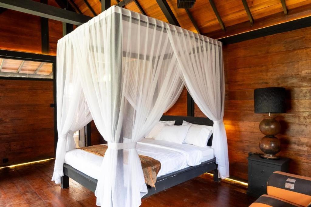 Lasuita Villa Lasuita Villa