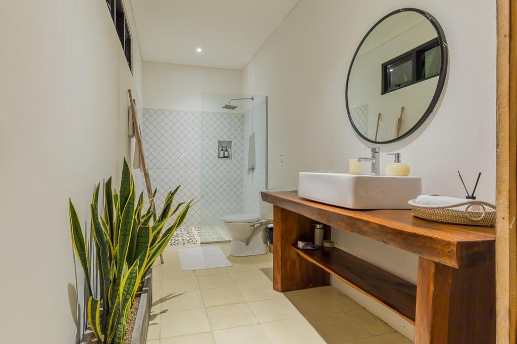 Elegant 3 BR villa huge pool in central Canggu Elegant 3 BR villa huge pool in central Canggu
