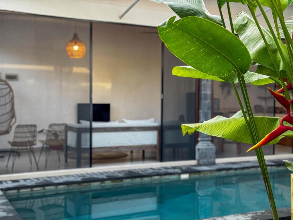 MoHana Villa - A Minimal Canggu Oasis MoHana Villa - A Minimal Canggu Oasis