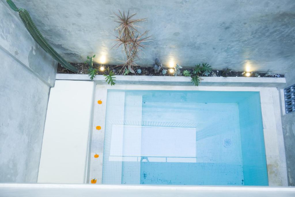 Ceria House Canggu Ceria House Canggu
