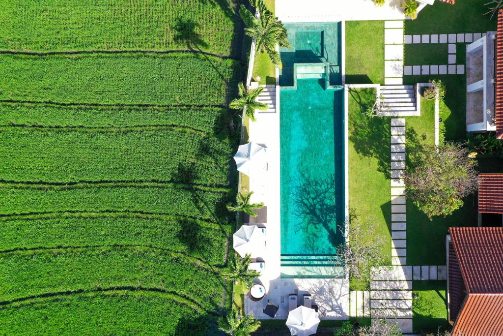 Villa Manis Canggu Villa Manis Canggu