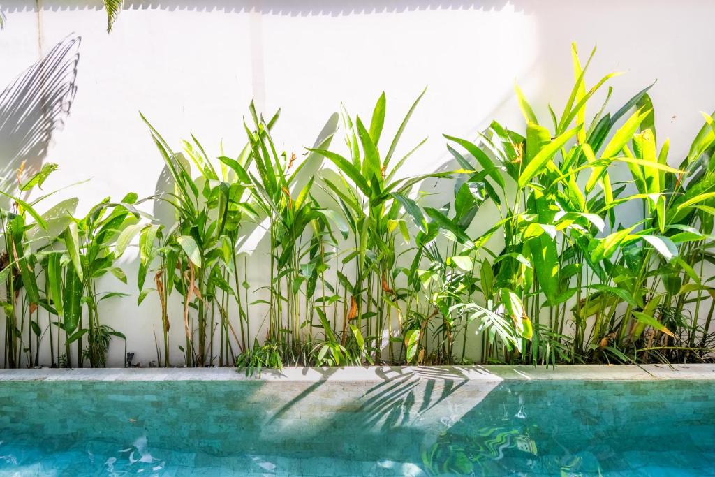 Masti Villa
